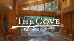 The Cove, An Authentic McCall Spa