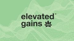 Elevated Gains Visual Identity 