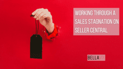 Working Through a Sales Stagnation on Seller Central