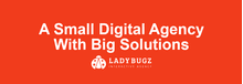 Ladybugz Interactive Agency